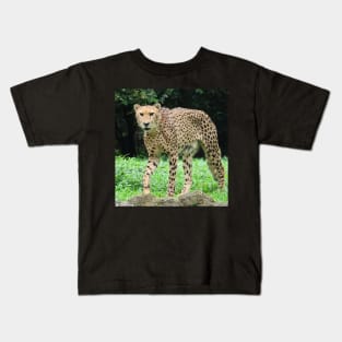 Cheetah Kids T-Shirt